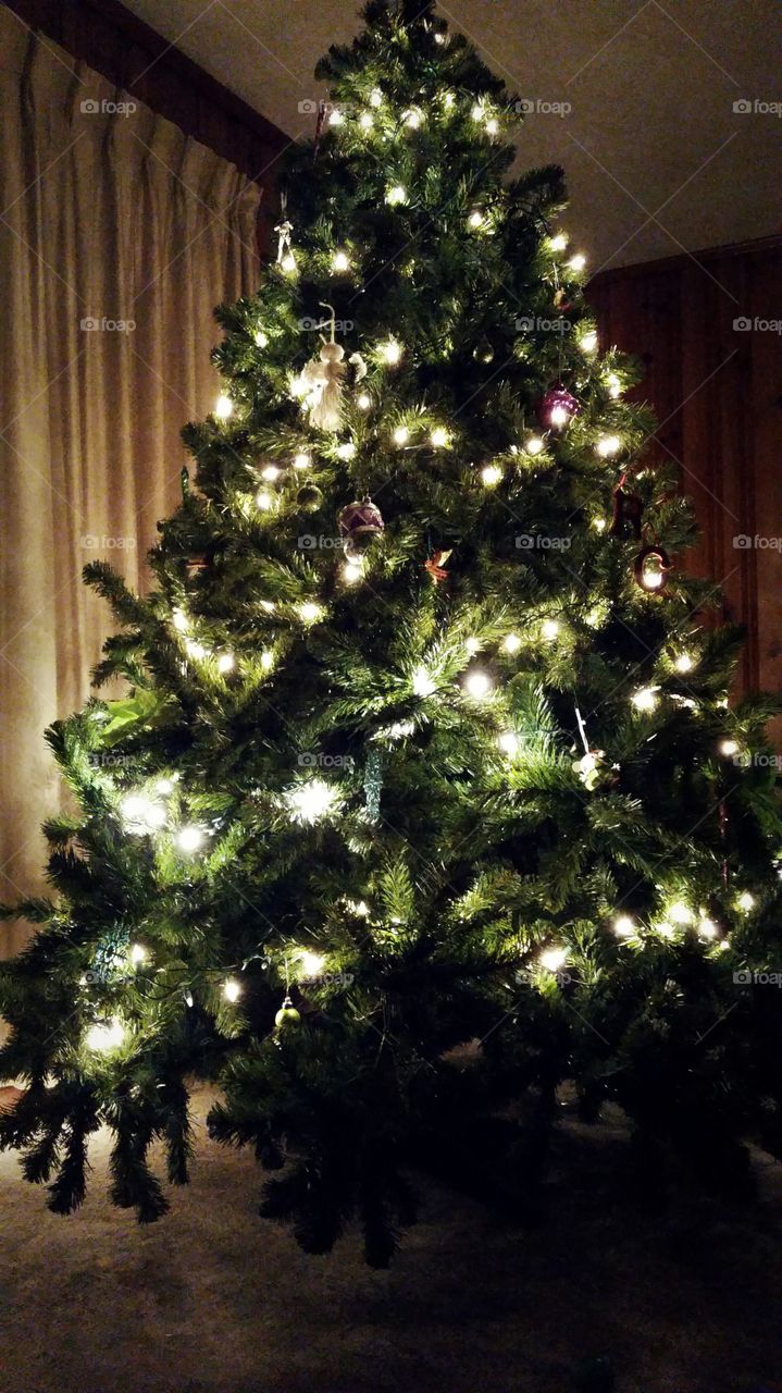 Christmas tree all lit up