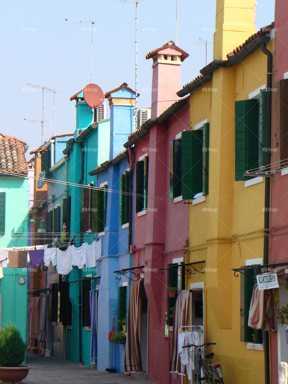 green yellow pink blue by mini_zoe