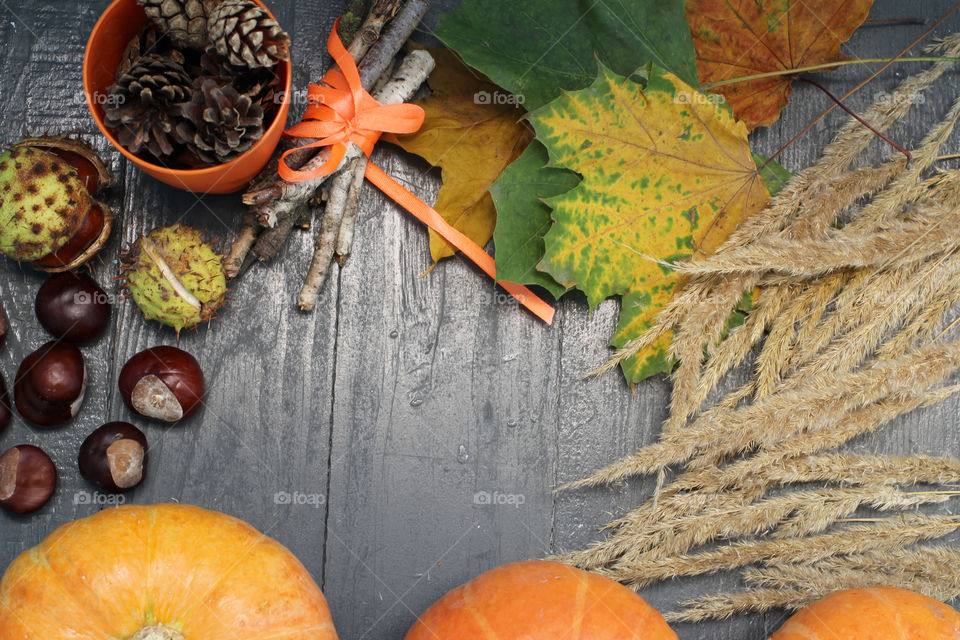 Vegetables, Halloween, pumpkin, corn, harvest, fertility, agriculture, food, cones, forest, birch branches