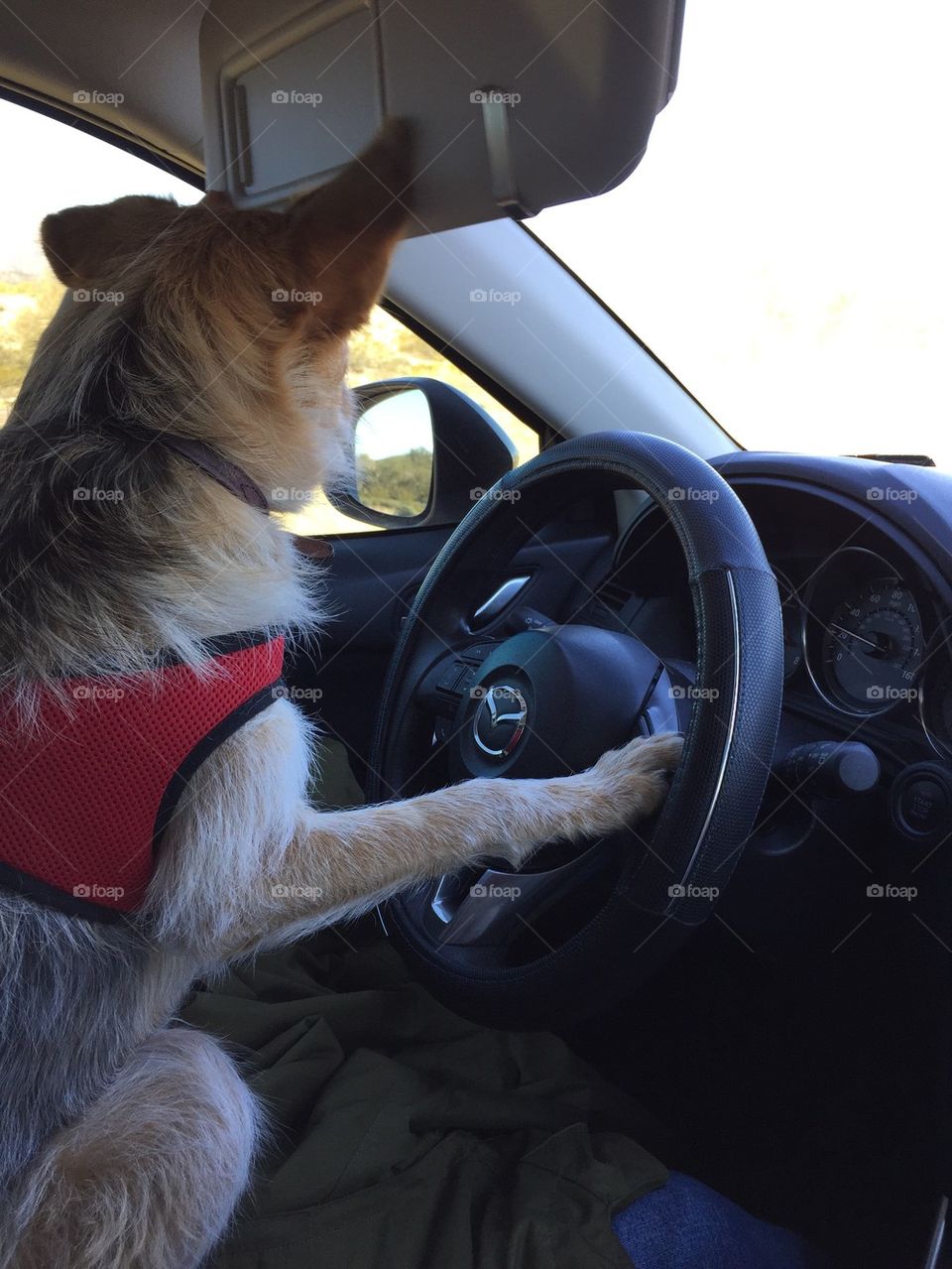 Drivers seat