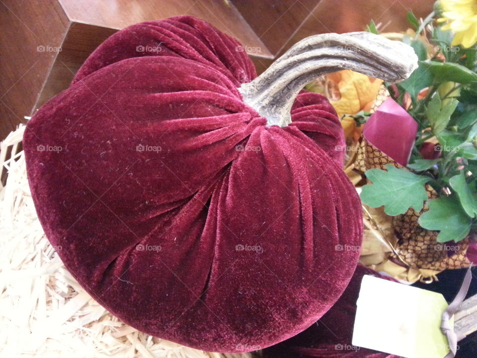 purple pumpkin. velvet