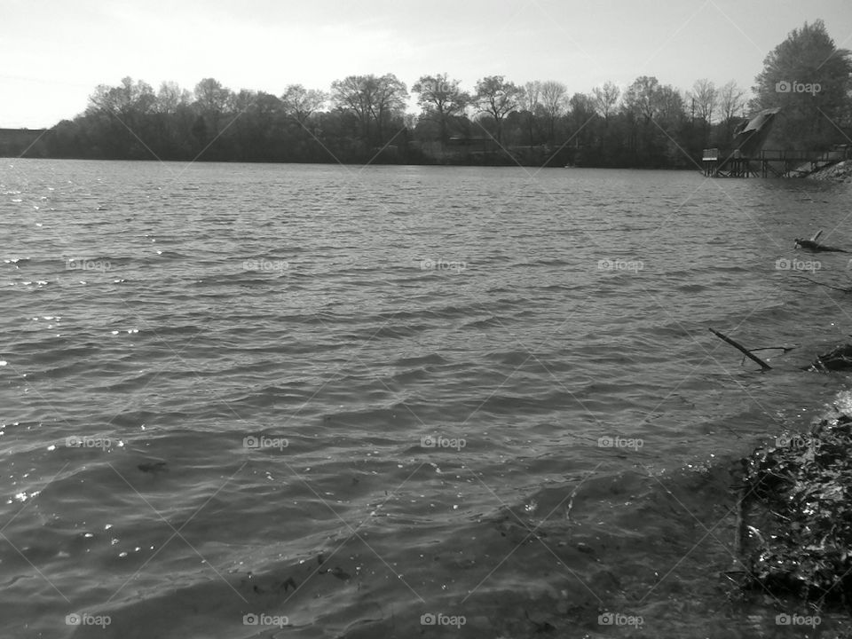 5 0f 5 rock making a splash