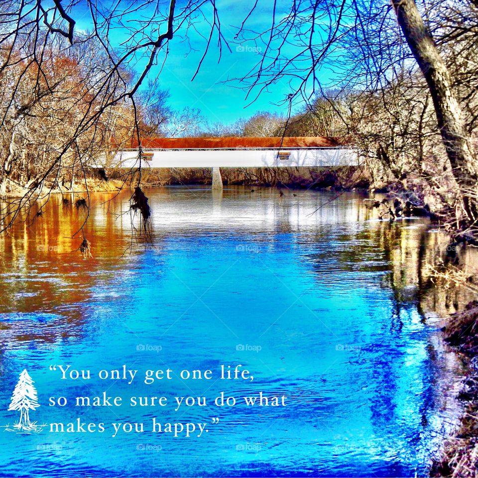 Do what makes you happy. 