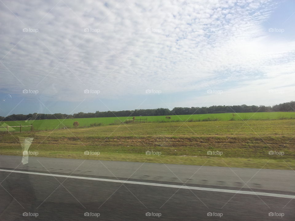 Open farmland down in Central Florida 
