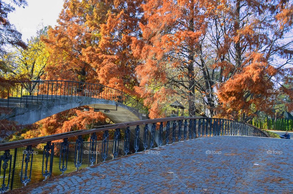 Autumn in București