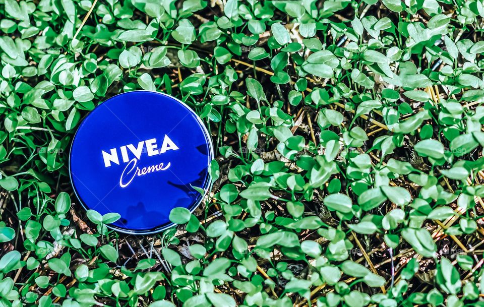 Nivea Creme on natural green background.