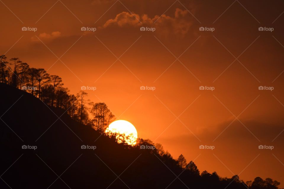 The sunset. It was beautiful watching the sun slowly fall behind everything and watching the colours go from bright and vibrant, fade into pure darkness