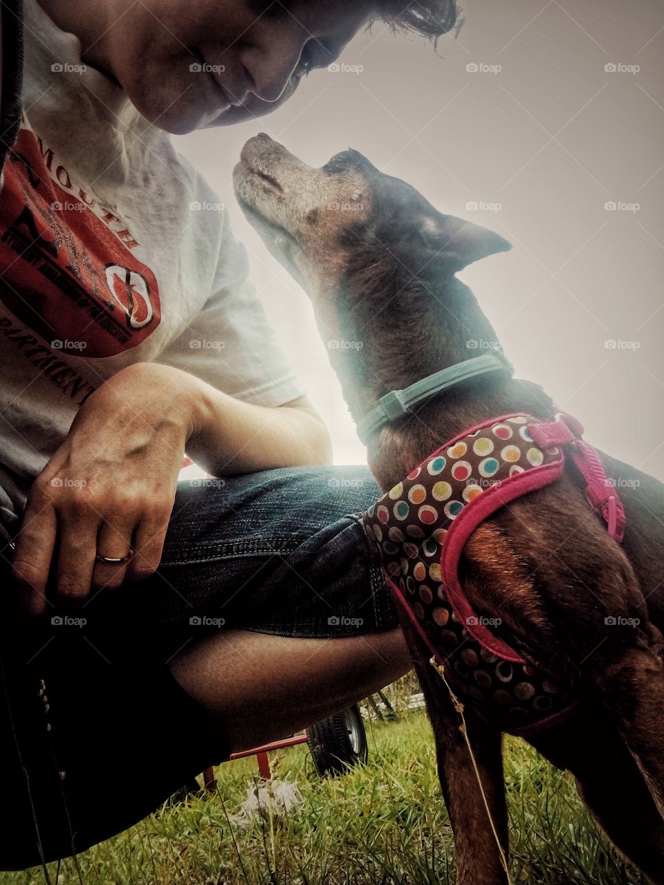 Long walks and fresh air does both human and dog good. 