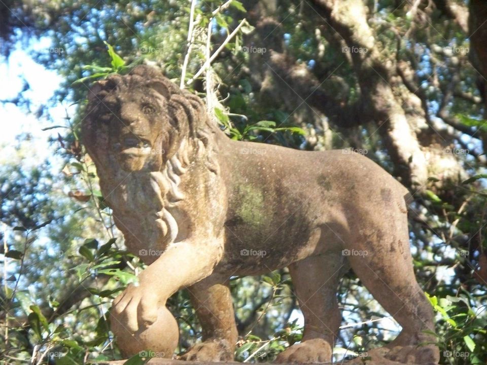 Stone Lion Cumberland Island, GA