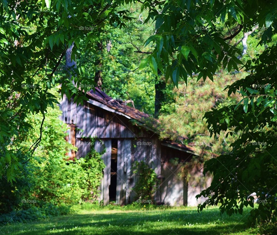 Old barn