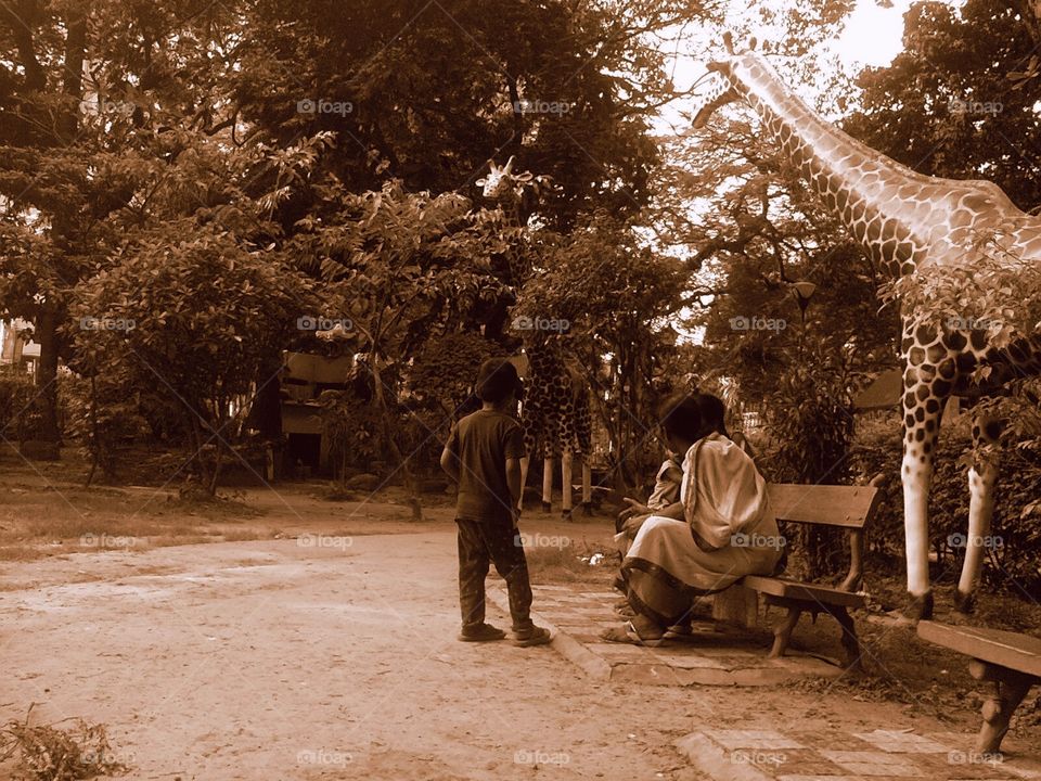 Allen Park in Kolkata, West Bengal, India 🇮🇳