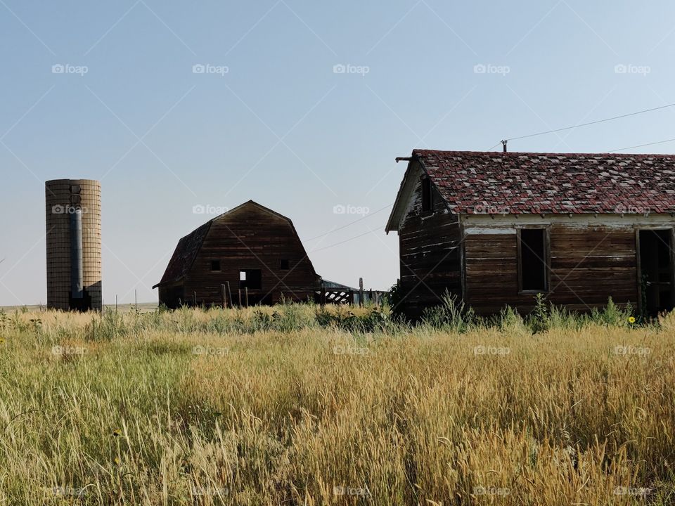 barn