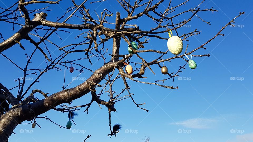 Tree with Easter decoration, eggs  - påsk, träd dekorerat med påskpynt , ägg 