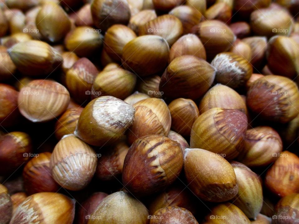 Heap of hazelnuts