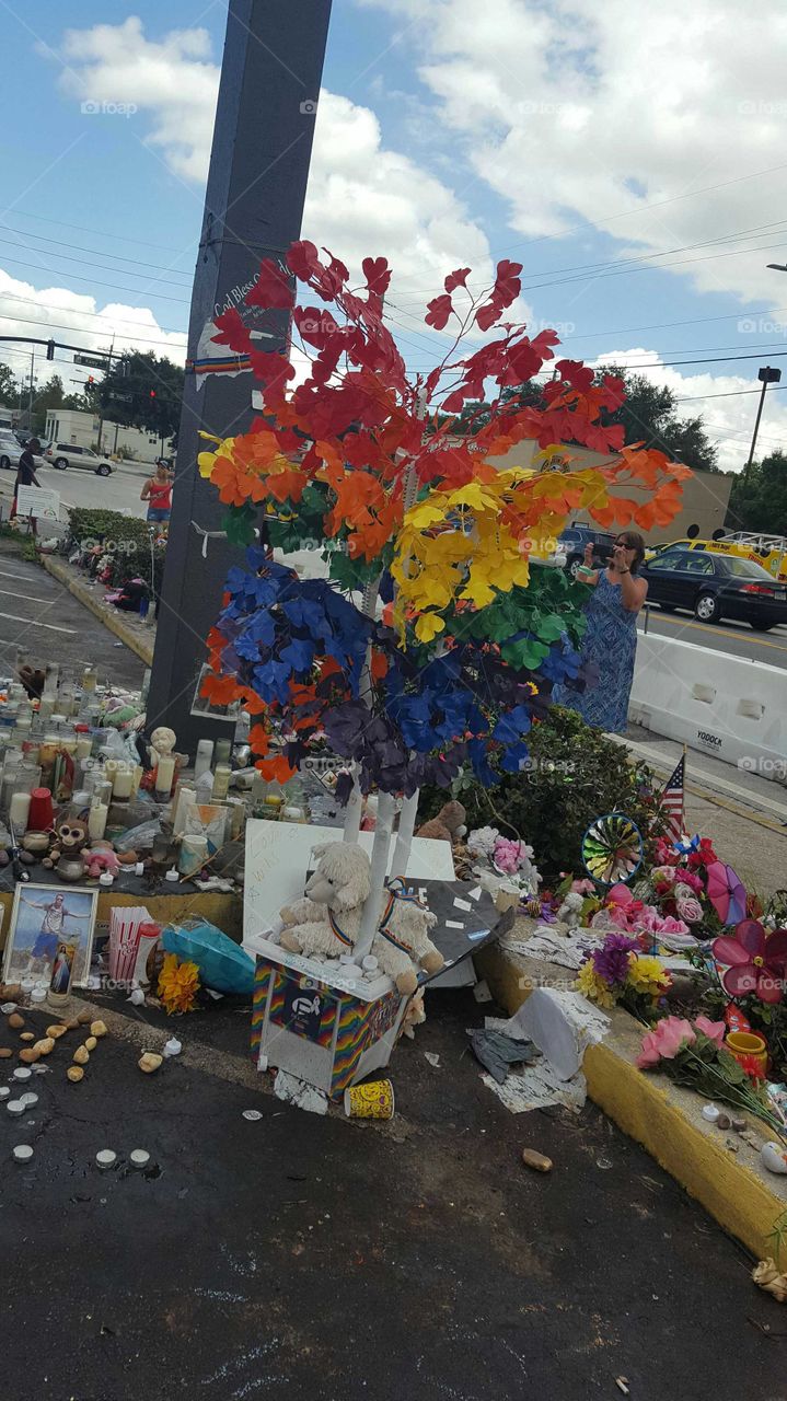 Rainbow Tree outside of Pulse Night Club in Orlando, Florida: A Tribute to those who died there