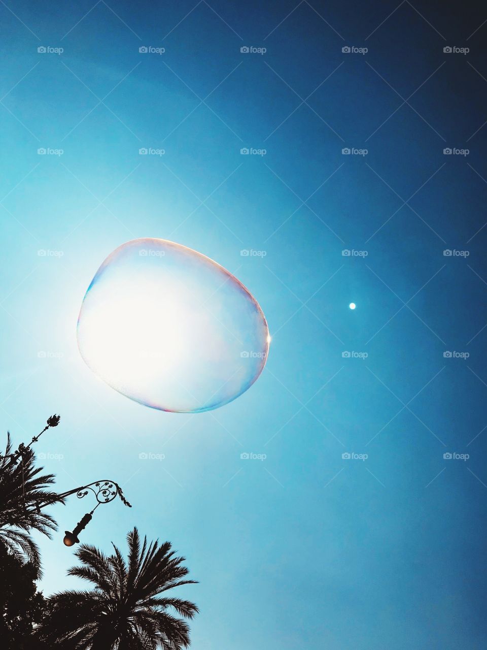Burbuja al sol