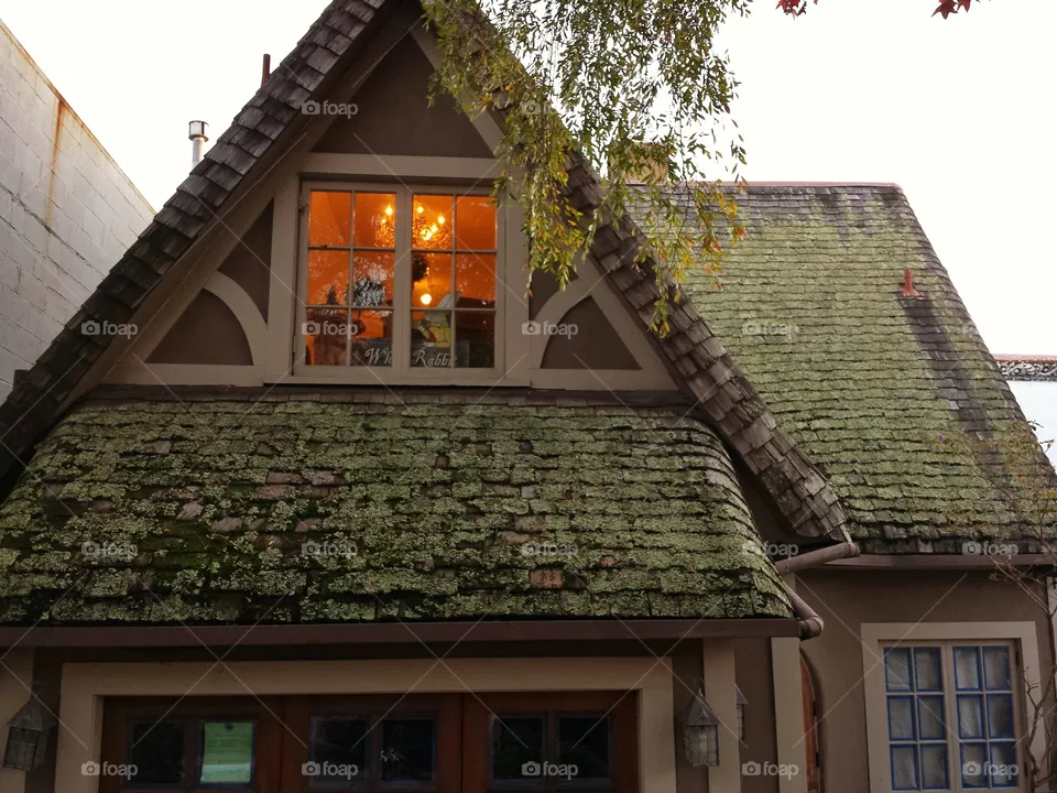 roof