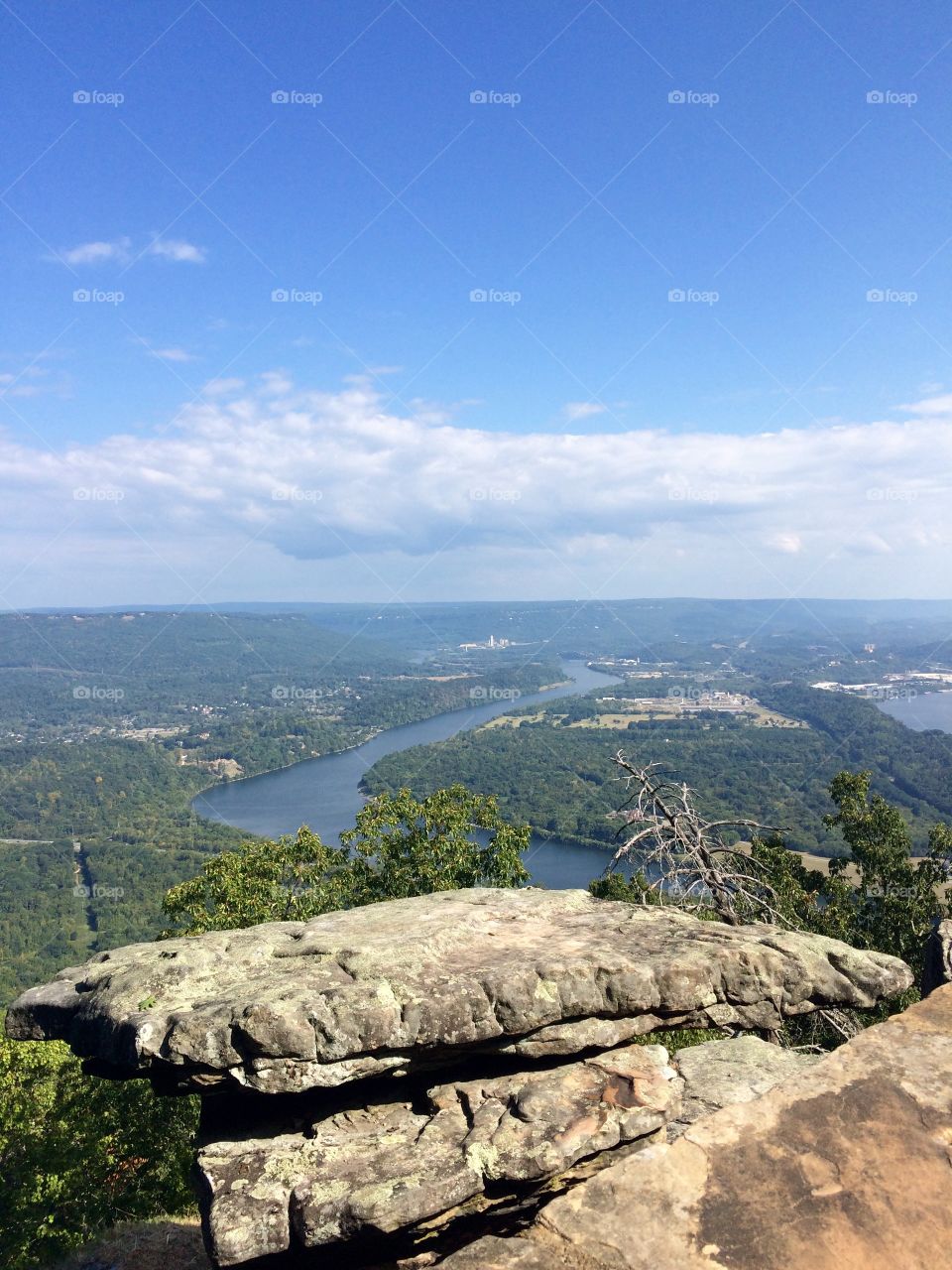 Over looking the city 