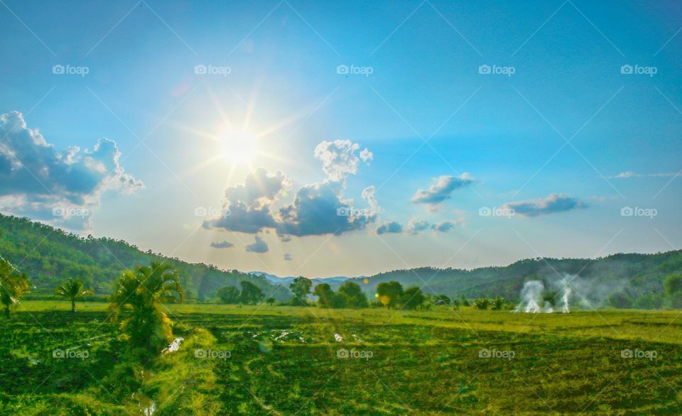 Landscape, Nature, Rural, Grass, Sun
