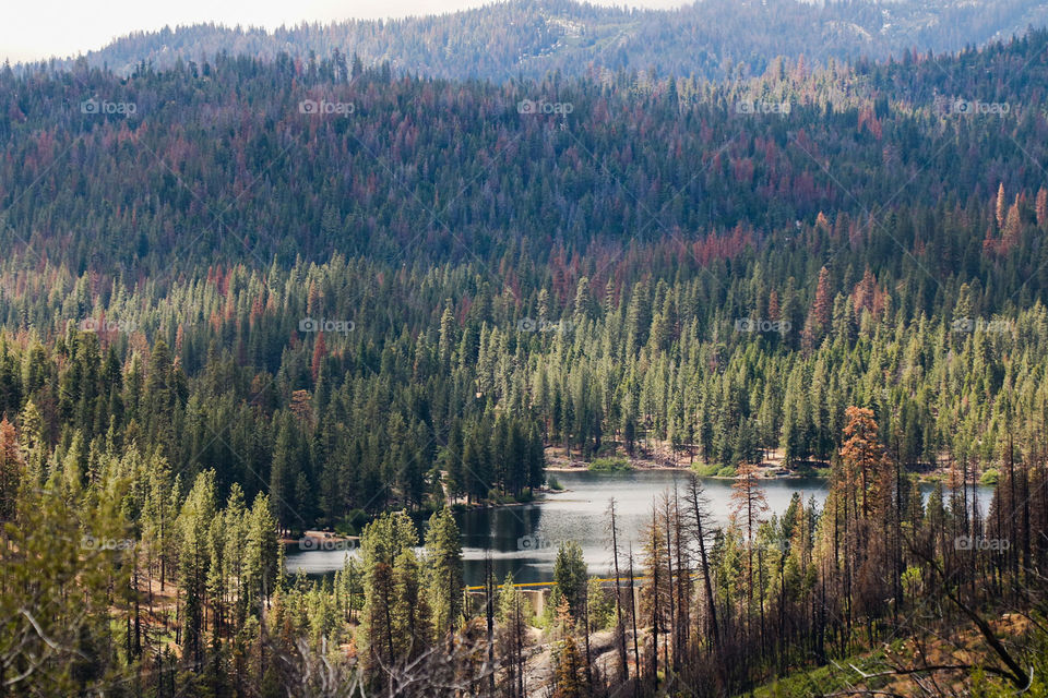 Hume Lake