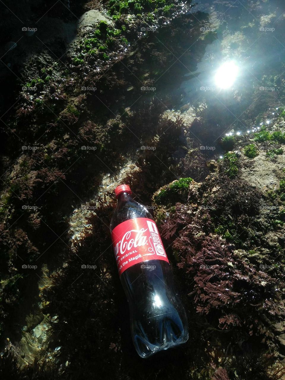 delicious bottle of fresh coca cola.