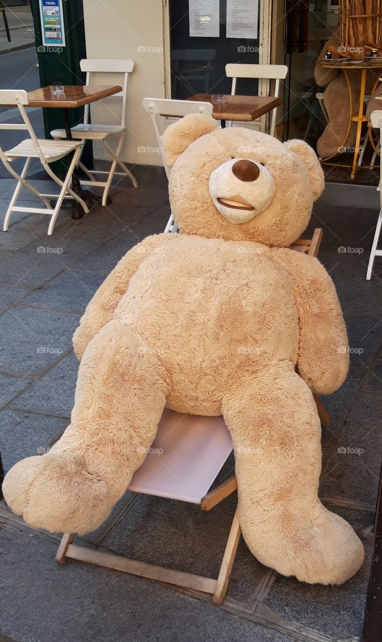 teddy bear resting in Paris