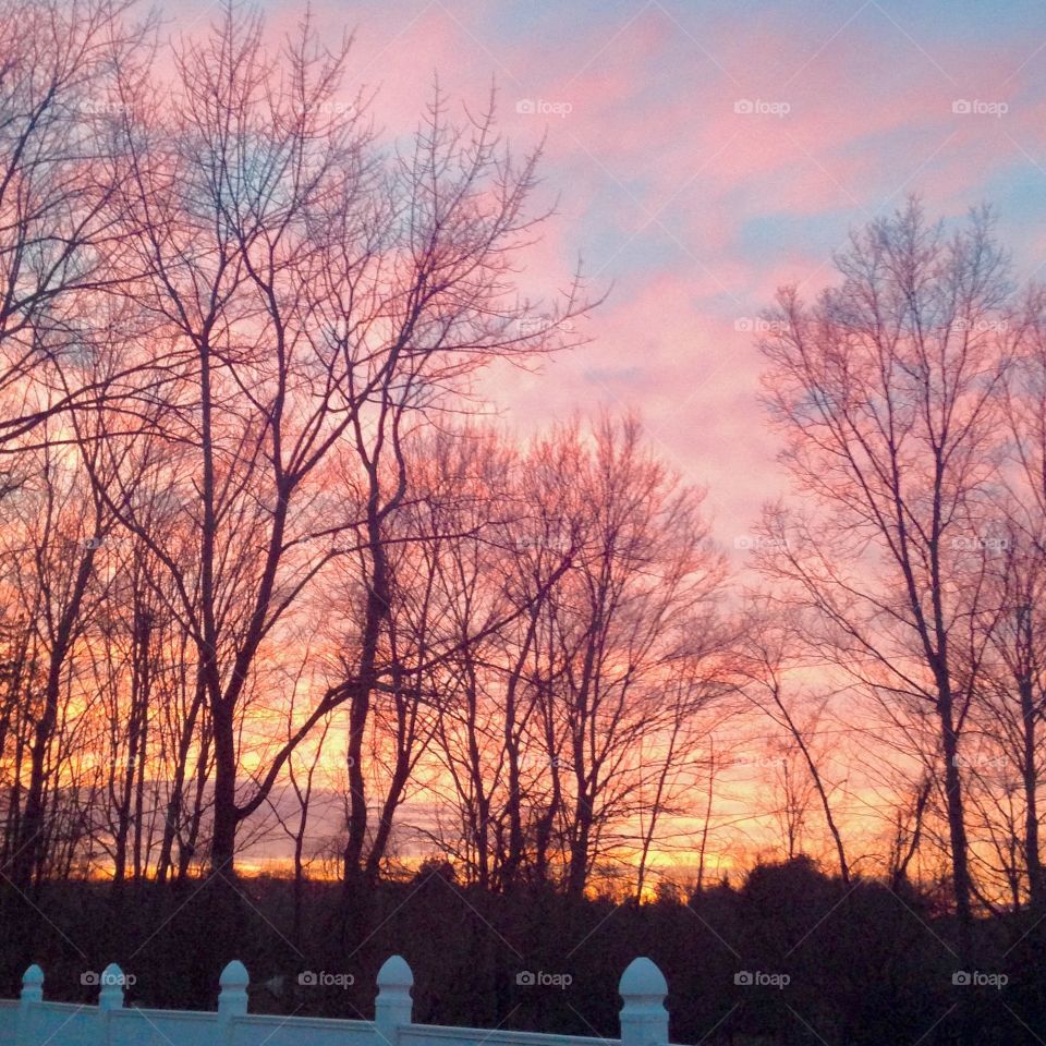 Photography started out as a hobby of mind and has grown into somewhat of a passion. I love sharing my work with others and I love that this platform allows photographers to receive praise and recognition for their work. I hope you enjoy my photos!