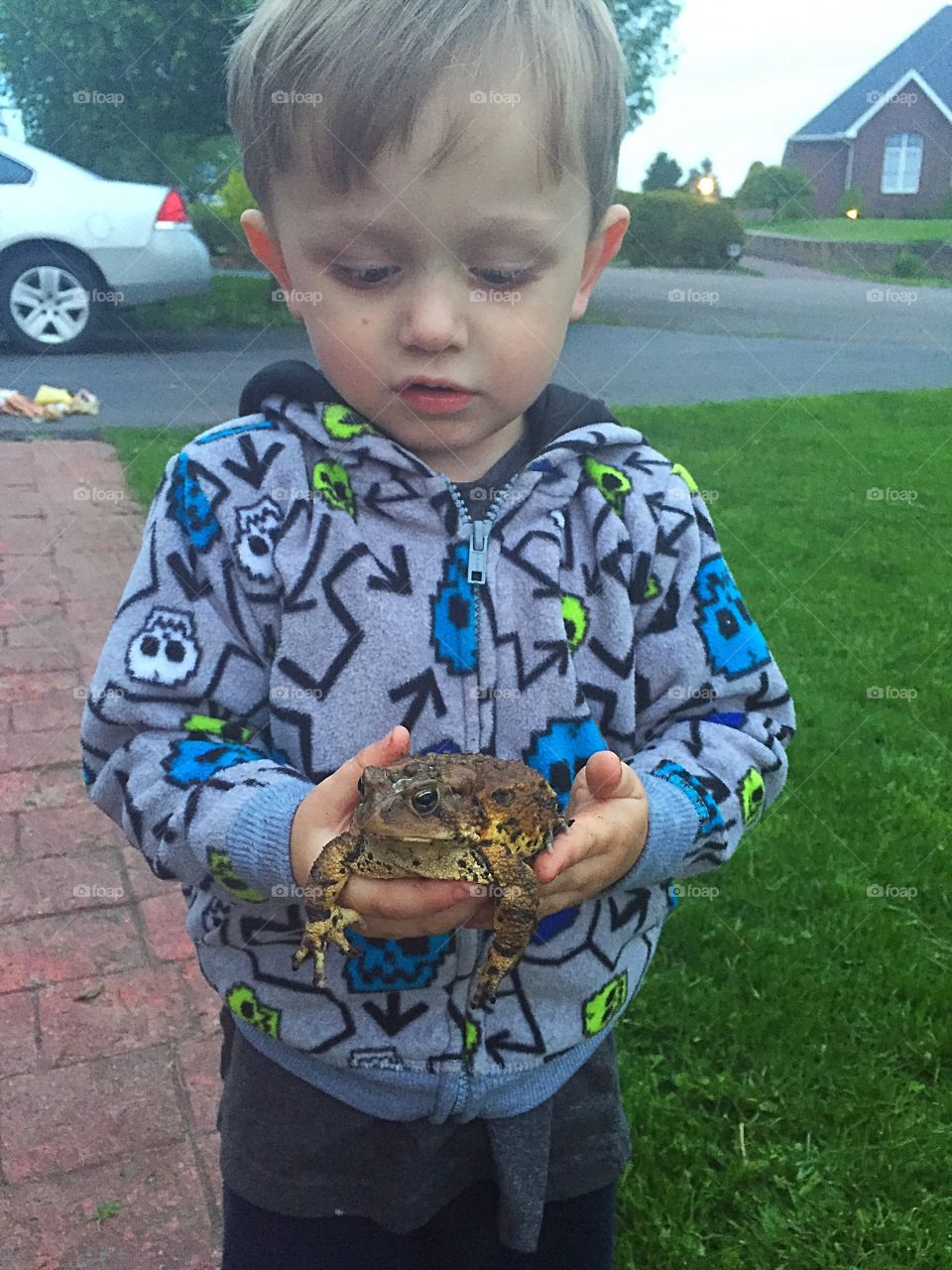 Boy holding frog in hand
