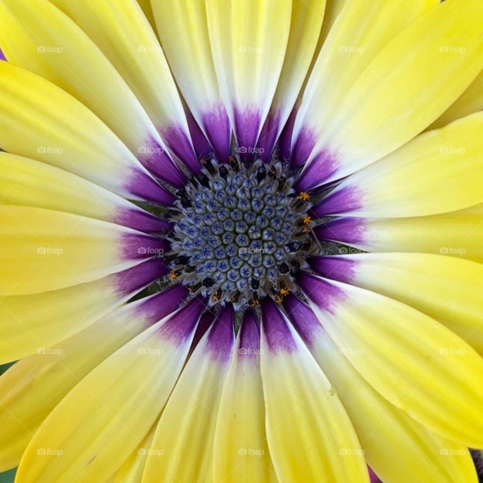 A Soulful Yellow Mood 💖