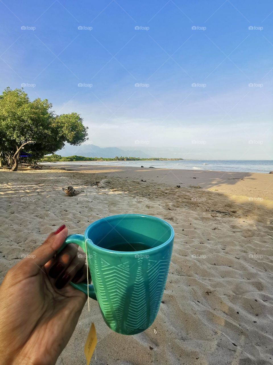 Morning in the beach