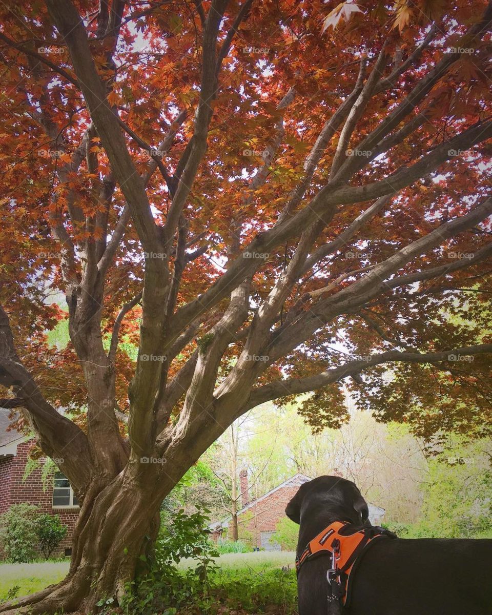 I took this in the fall, one of my favorite seasons because of all the amazing colors and the crispness of the air. Can you feel it?