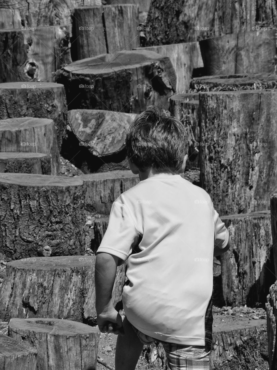 Boy Climbing Wooden Steps. Staircase Made Out Of Tree Stumps
