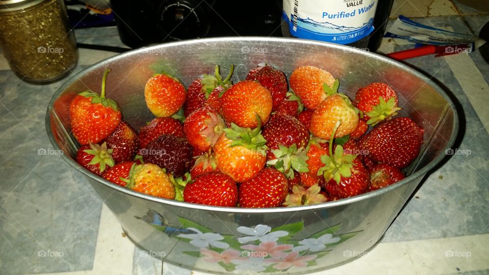hand pick strawberries from my garden