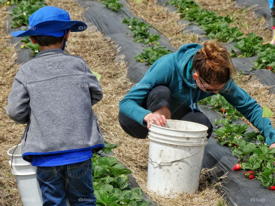 Working On A Family Farm
