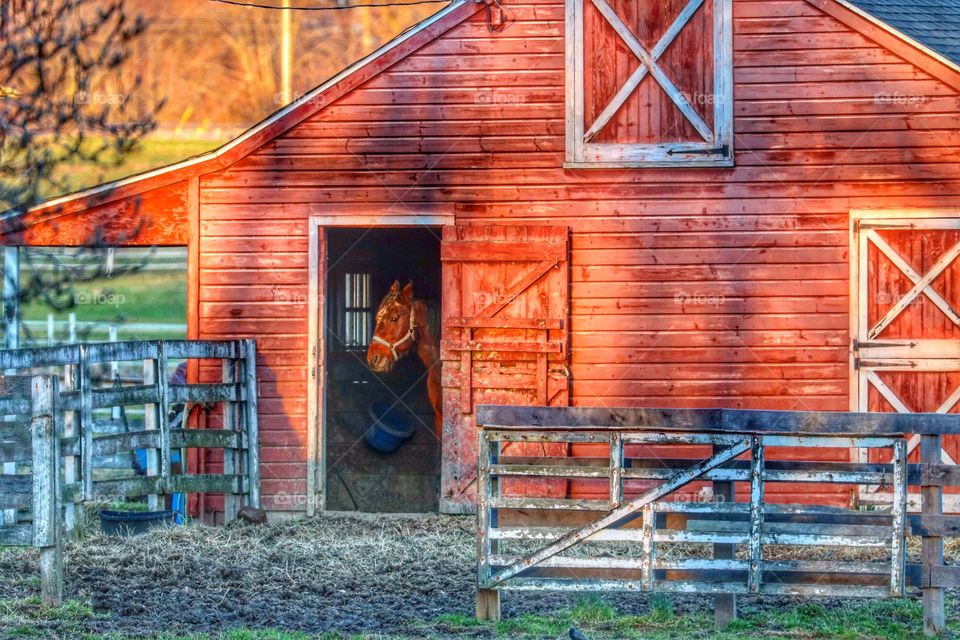 sunrise at the barn