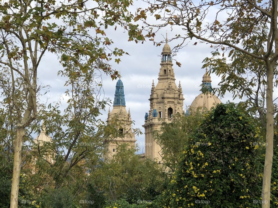 Castle in the forest