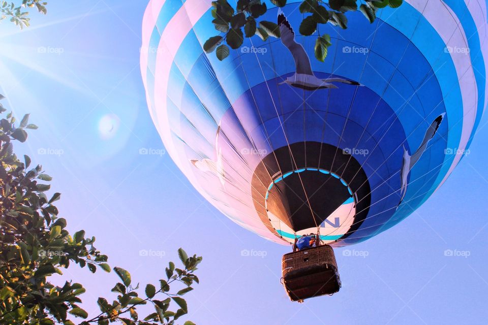 Balloon in the sky 