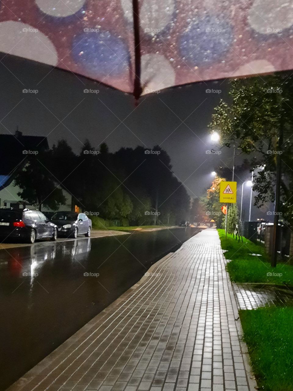 rain