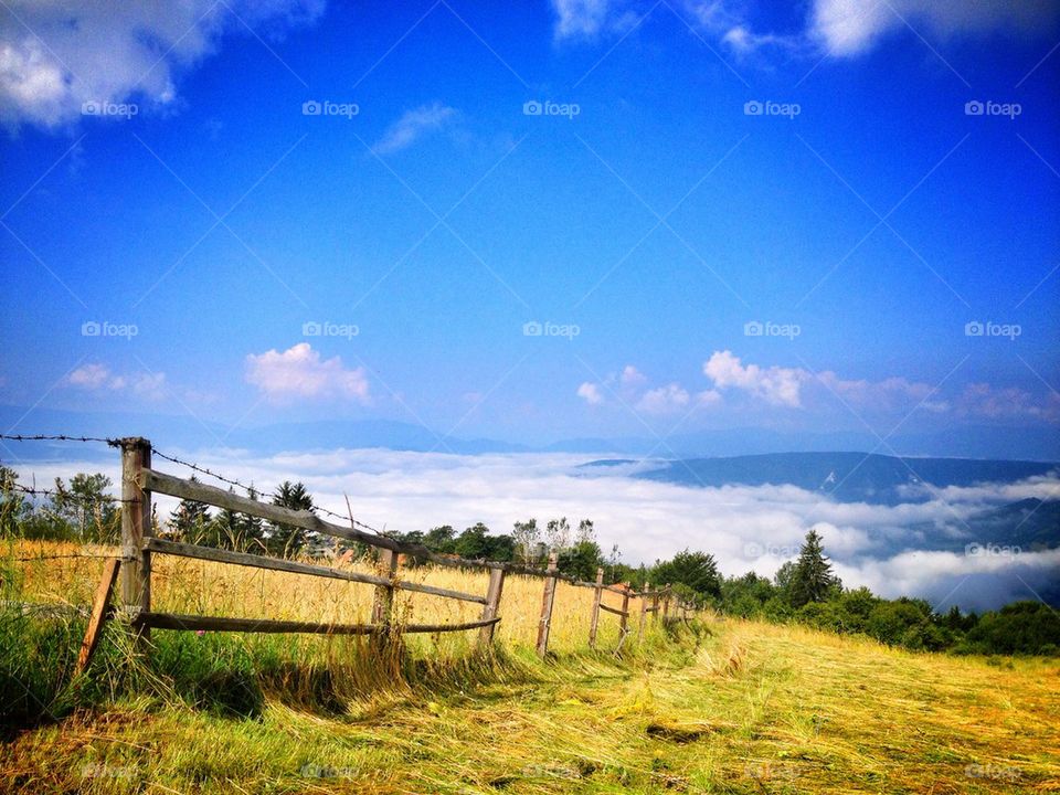 Fence at field