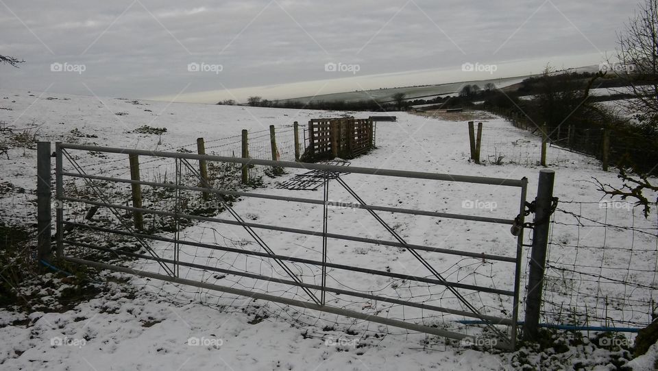 A Farm Gate In Winter