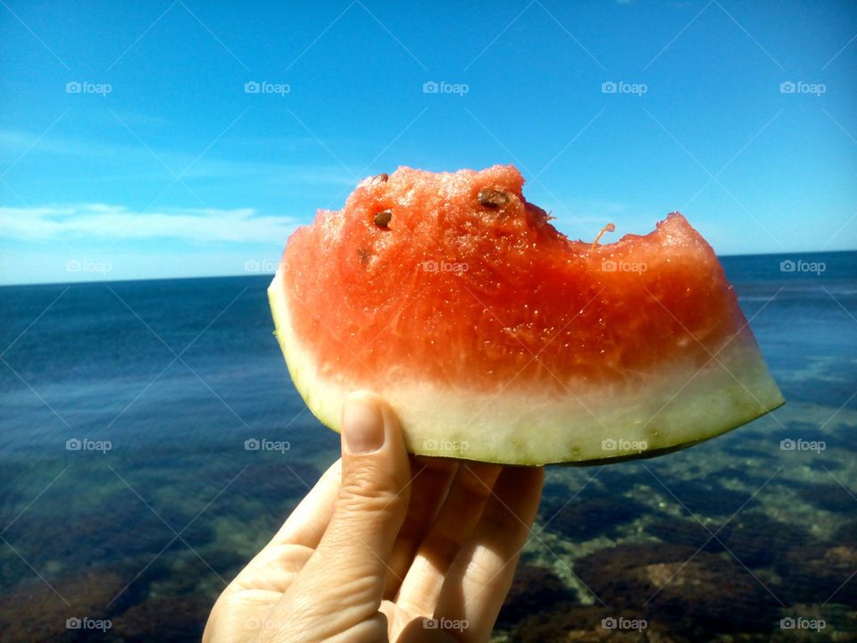 watermelon on a sea