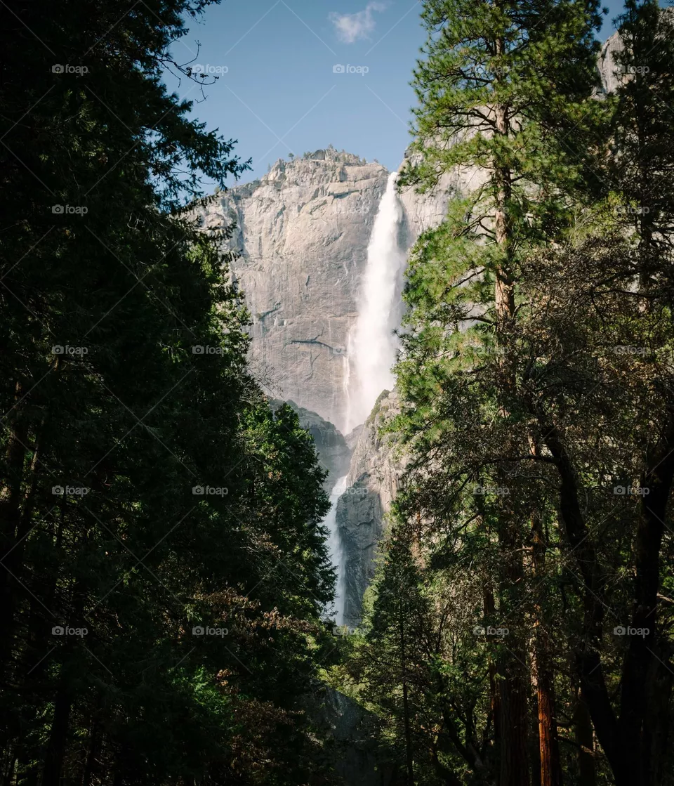 here's a little photo work that I will develop to make it even better in the future