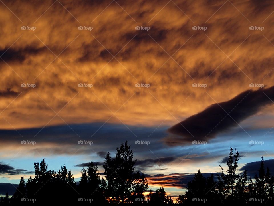 Brilliant red textured clouds against a blue sky over a group of trees below as the sun sets in Central Oregon winter evening. 