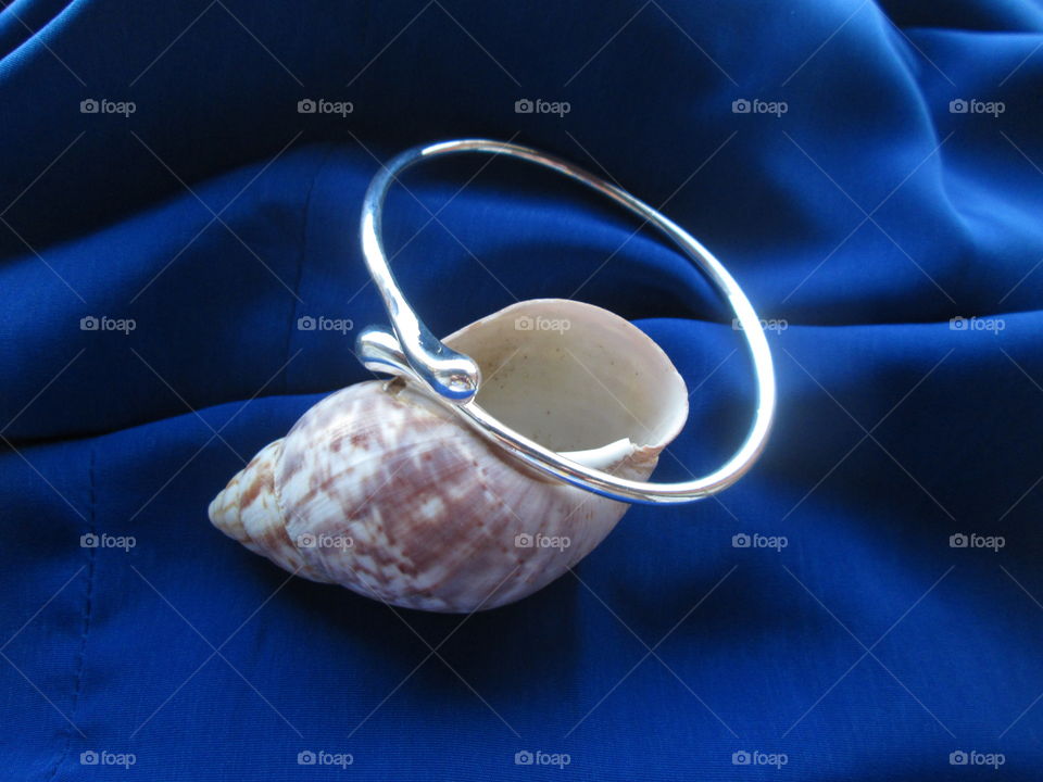shell and bracelet