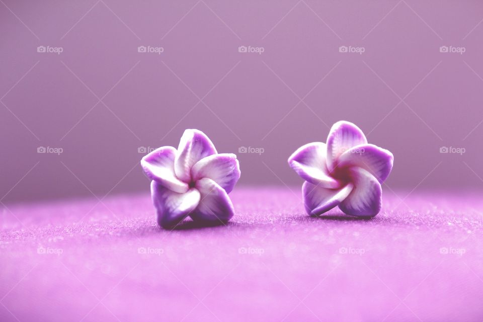 Purple earrings 