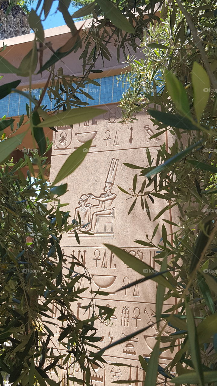 hieroglyphics decorating a column at the Egyptian museum in San Jose. The column is part of a temple used by the rosicrucian order. I took the picture while walking a path on the grounds lined with palm trees and olive trees.