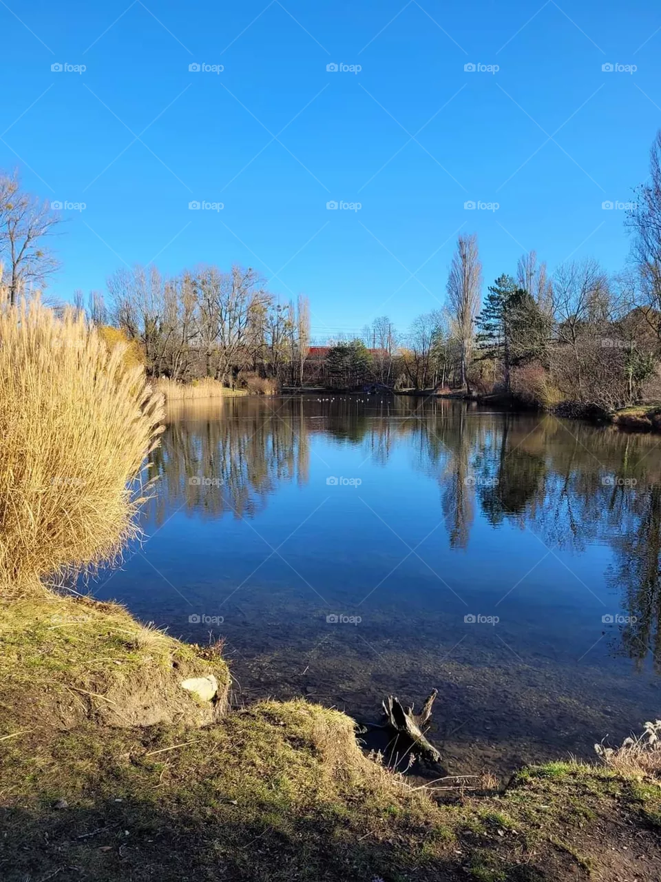 Nature