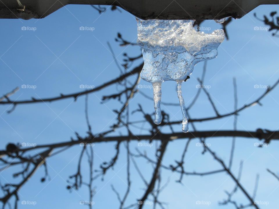 spring is coming, icicles with legs are in a hurry