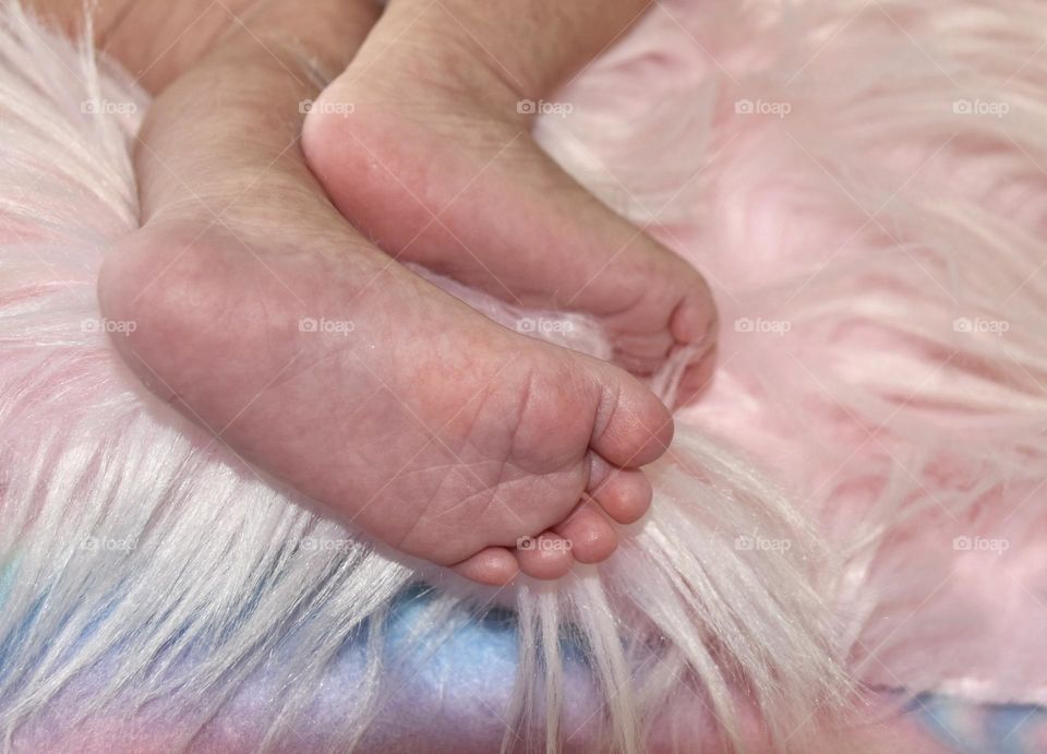 Baby girl’s feet on a pink fluffy piece of material 