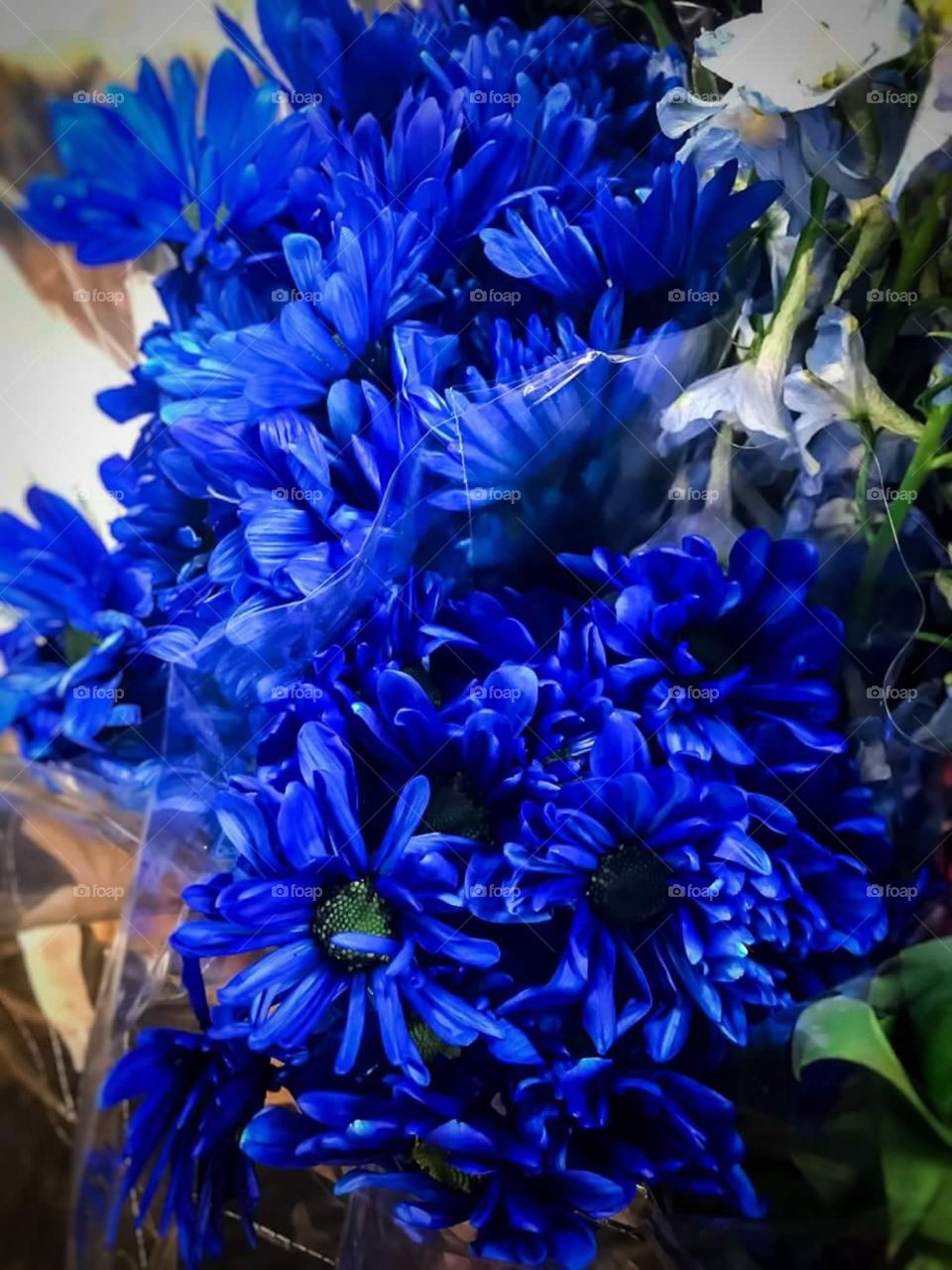 Bold Blue Bouquet 